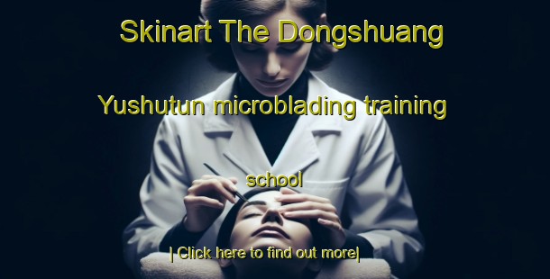 Skinart The Dongshuang Yushutun microblading training school-United Kingdom