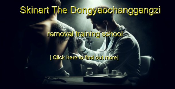 Skinart The Dongyaochanggangzi removal training school-United Kingdom