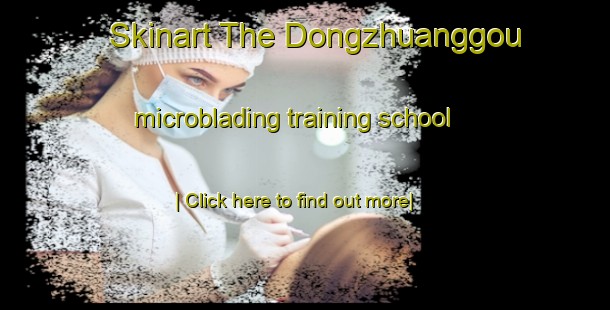 Skinart The Dongzhuanggou microblading training school-United Kingdom