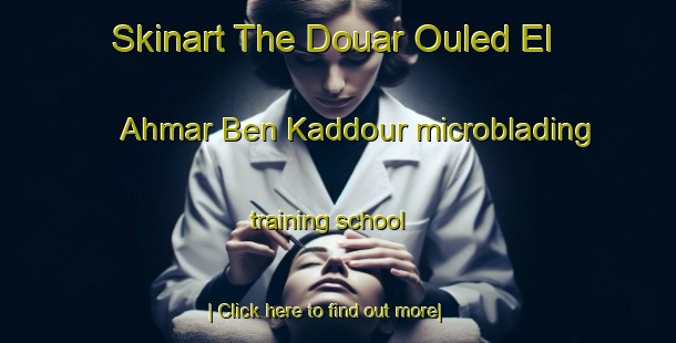 Skinart The Douar Ouled El Ahmar Ben Kaddour microblading training school-United Kingdom