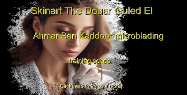 Skinart The Douar Ouled El Ahmar Ben Kaddour microblading training school-United Kingdom