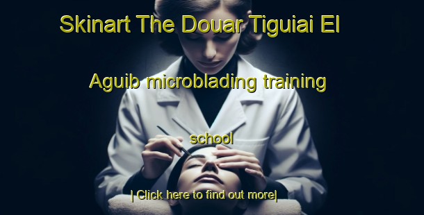 Skinart The Douar Tiguiai El Aguib microblading training school-United Kingdom