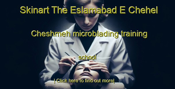 Skinart The Eslamabad E Chehel Cheshmeh microblading training school-United Kingdom