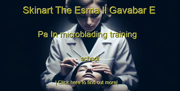 Skinart The Esma Il Gavabar E Pa In microblading training school-United Kingdom