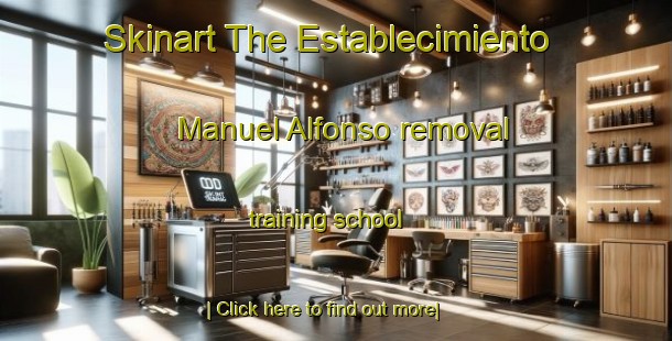 Skinart The Establecimiento Manuel Alfonso removal training school-United Kingdom