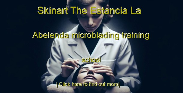 Skinart The Estancia La Abelenda microblading training school-United Kingdom