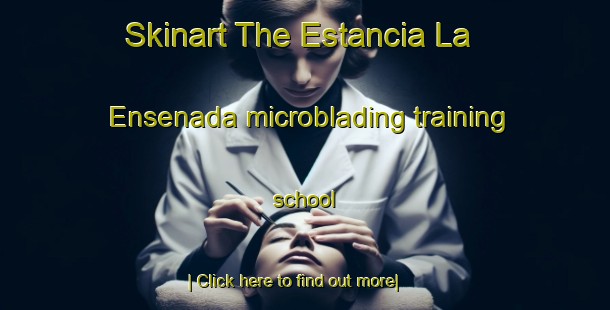 Skinart The Estancia La Ensenada microblading training school-United Kingdom