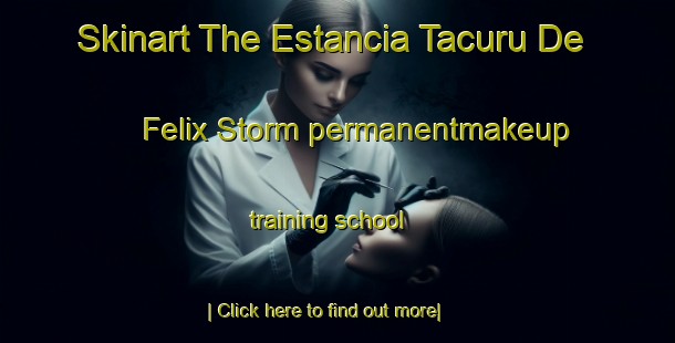 Skinart The Estancia Tacuru De Felix Storm permanentmakeup training school-United Kingdom