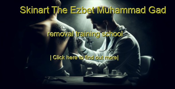 Skinart The Ezbet Muhammad Gad removal training school-United Kingdom