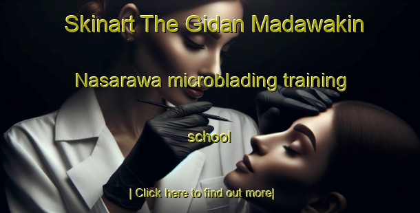 Skinart The Gidan Madawakin Nasarawa microblading training school-United Kingdom