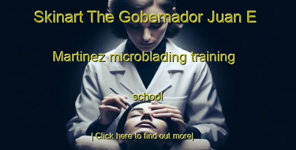 Skinart The Gobernador Juan E  Martinez microblading training school-United Kingdom