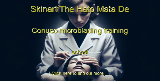 Skinart The Hato Mata De Conuco microblading training school-United Kingdom