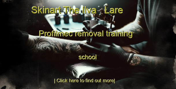 Skinart The Ilva   Lare   Profilmec removal training school-United Kingdom