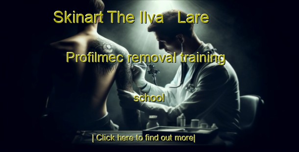 Skinart The Ilva   Lare   Profilmec removal training school-United Kingdom