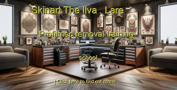 Skinart The Ilva   Lare   Profilmec removal training school-United Kingdom