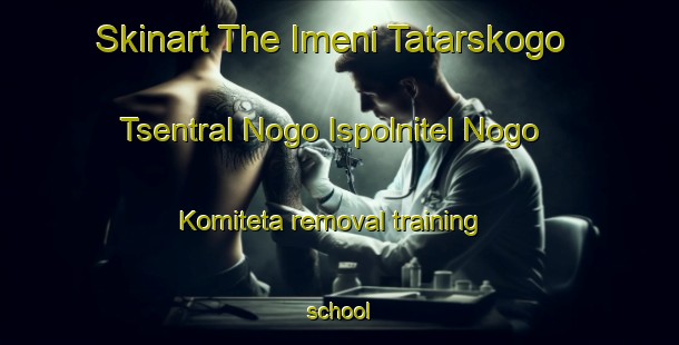 Skinart The Imeni Tatarskogo Tsentral Nogo Ispolnitel Nogo Komiteta removal training school-United Kingdom