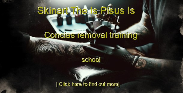 Skinart The Is Pisus Is Concias removal training school-United Kingdom