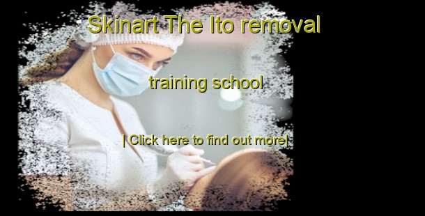 Skinart The Ito removal training school-United Kingdom