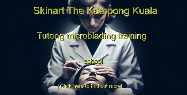 Skinart The Kampong Kuala Tutong microblading training school-United Kingdom