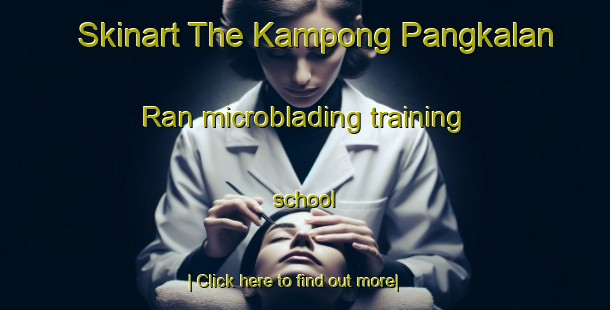 Skinart The Kampong Pangkalan Ran microblading training school-United Kingdom