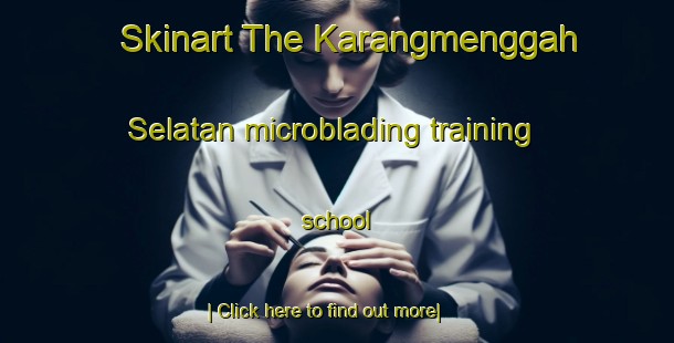 Skinart The Karangmenggah Selatan microblading training school-United Kingdom