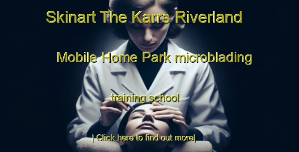 Skinart The Karrs Riverland Mobile Home Park microblading training school-United Kingdom