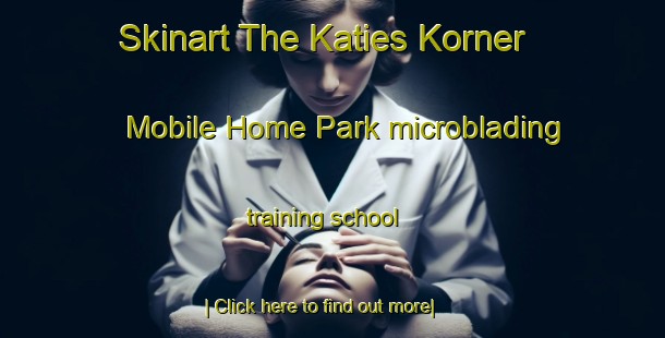 Skinart The Katies Korner Mobile Home Park microblading training school-United Kingdom