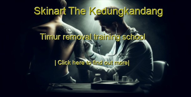 Skinart The Kedungkandang Timur removal training school-United Kingdom