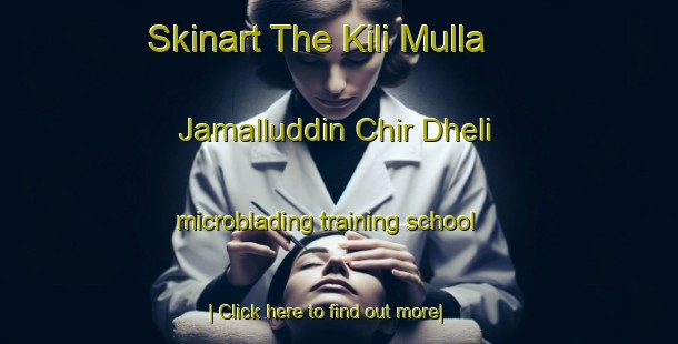 Skinart The Kili Mulla Jamalluddin Chir Dheli microblading training school-United Kingdom