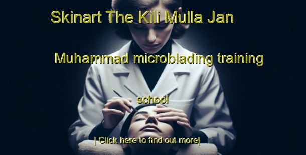 Skinart The Kili Mulla Jan Muhammad microblading training school-United Kingdom