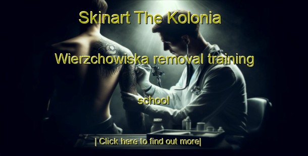 Skinart The Kolonia Wierzchowiska removal training school-United Kingdom