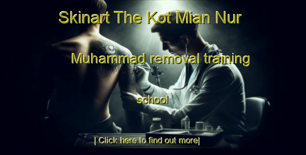 Skinart The Kot Mian Nur Muhammad removal training school-United Kingdom