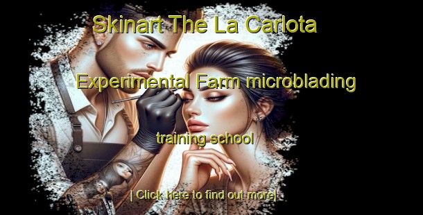 Skinart The La Carlota Experimental Farm microblading training school-United Kingdom