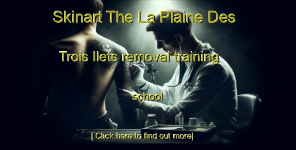 Skinart The La Plaine Des Trois Ilets removal training school-United Kingdom