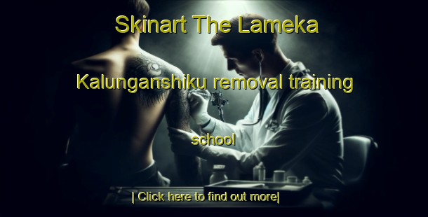 Skinart The Lameka Kalunganshiku removal training school-United Kingdom