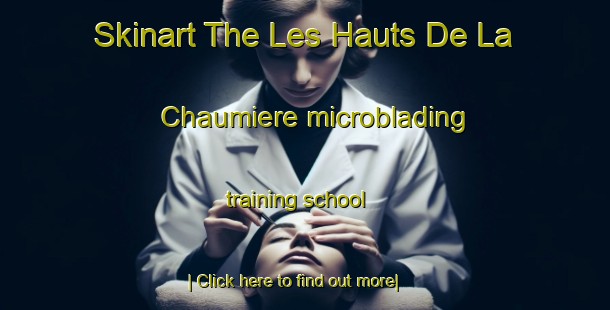 Skinart The Les Hauts De La Chaumiere microblading training school-United Kingdom