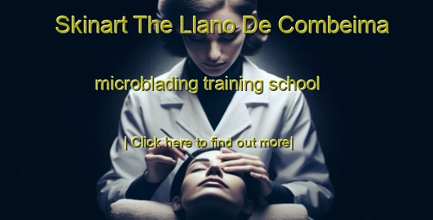 Skinart The Llano De Combeima microblading training school-United Kingdom