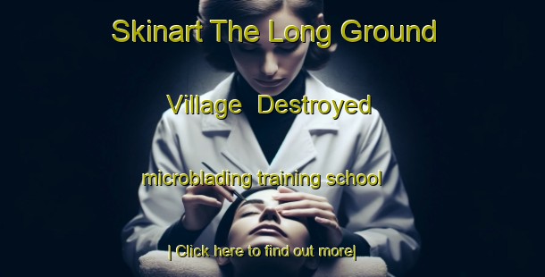 Skinart The Long Ground Village  Destroyed microblading training school-United Kingdom