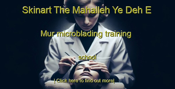 Skinart The Mahalleh Ye Deh E Mur microblading training school-United Kingdom