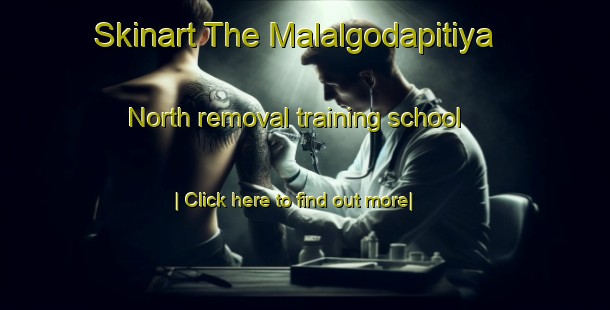 Skinart The Malalgodapitiya North removal training school-United Kingdom