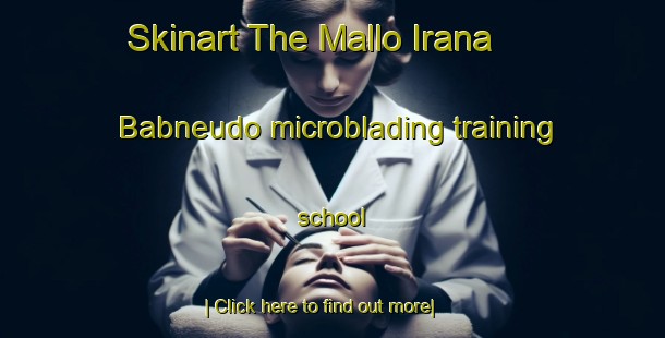 Skinart The Mallo Irana  Babneudo microblading training school-United Kingdom