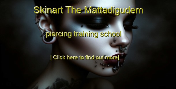 Skinart The Mattadigudem piercing training school-United Kingdom