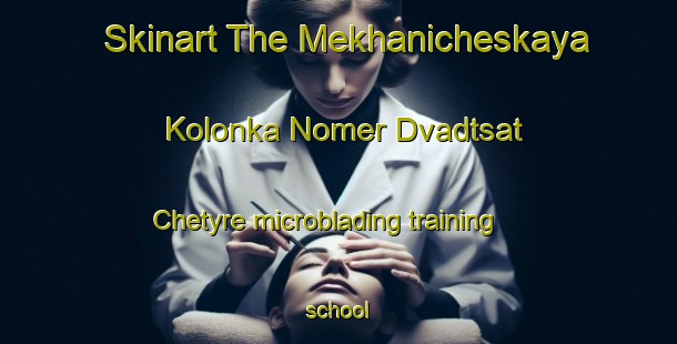 Skinart The Mekhanicheskaya Kolonka Nomer Dvadtsat  Chetyre microblading training school-United Kingdom