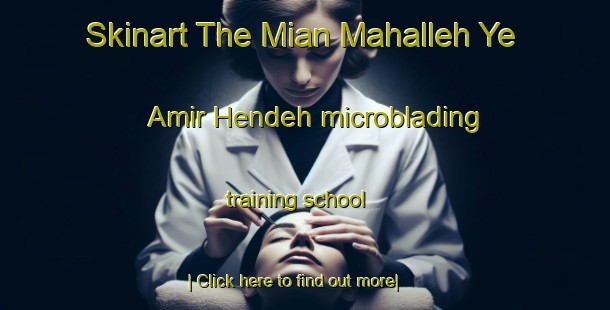 Skinart The Mian Mahalleh Ye Amir Hendeh microblading training school-United Kingdom