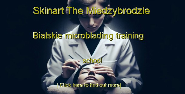 Skinart The Miedzybrodzie Bialskie microblading training school-United Kingdom