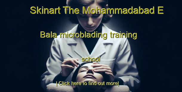 Skinart The Mohammadabad E Bala microblading training school-United Kingdom