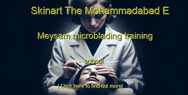 Skinart The Mohammadabad E Meysam microblading training school-United Kingdom