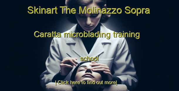 Skinart The Molinazzo Sopra Caratta microblading training school-United Kingdom