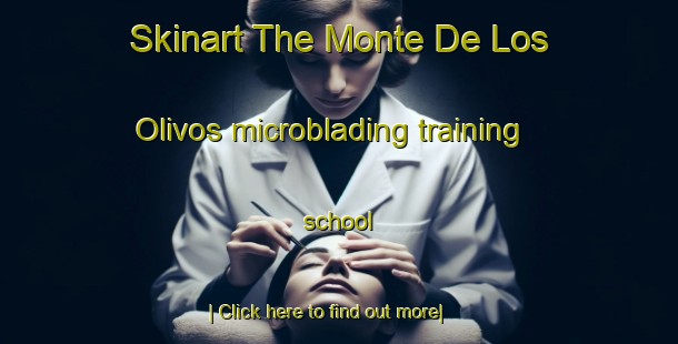 Skinart The Monte De Los Olivos microblading training school-United Kingdom