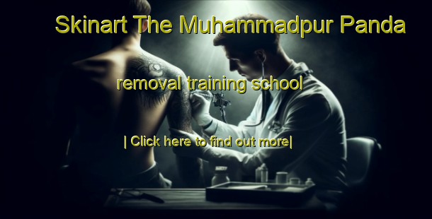 Skinart The Muhammadpur Panda removal training school-United Kingdom